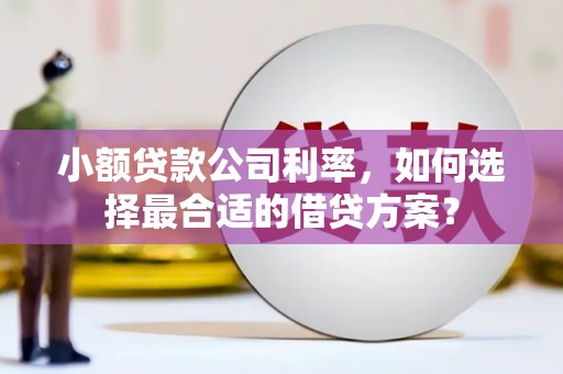 鱼池小额贷款公司利率，如何选择最合适的借贷方案？