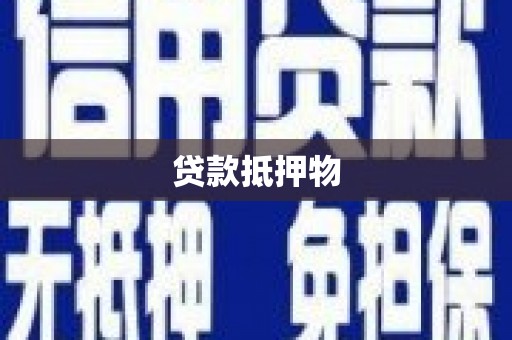 鱼池贷款抵押物