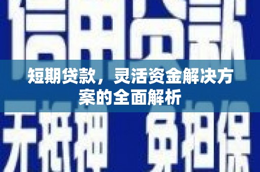 鱼池短期贷款，灵活资金解决方案的全面解析
