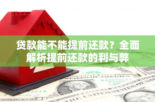 鱼池贷款能不能提前还款？全面解析提前还款的利与弊