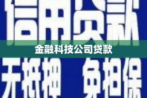 鱼池金融科技公司贷款