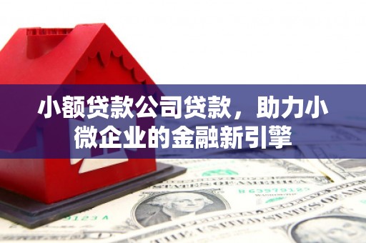 鱼池小额贷款公司贷款，助力小微企业的金融新引擎