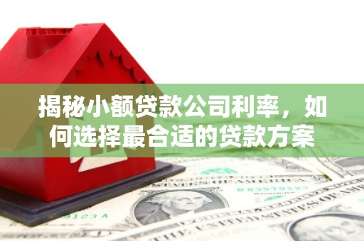 鱼池揭秘小额贷款公司利率，如何选择最合适的贷款方案
