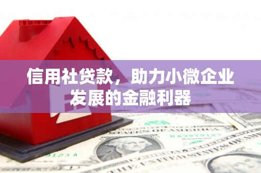 鱼池信用社贷款，助力小微企业发展的金融利器