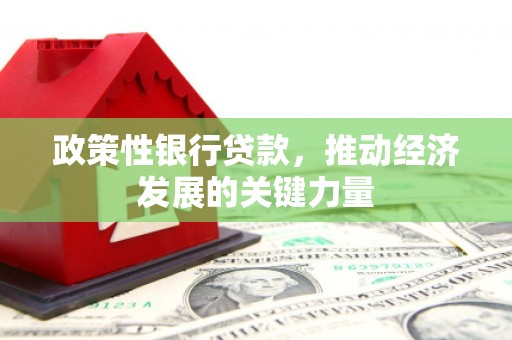 鱼池政策性银行贷款，推动经济发展的关键力量