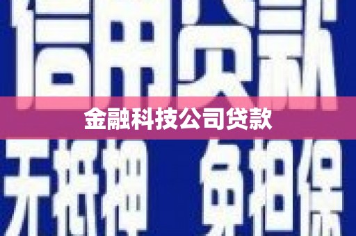 鱼池金融科技公司贷款