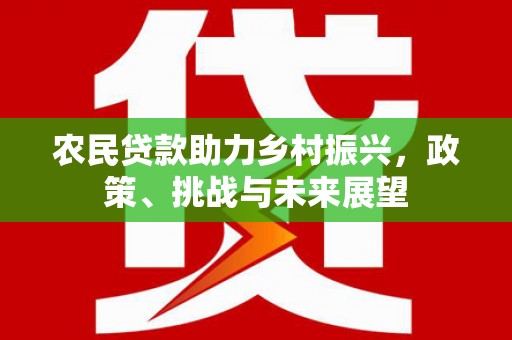 鱼池农民贷款助力乡村振兴，政策、挑战与未来展望