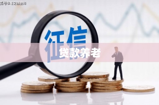 鱼池贷款养老