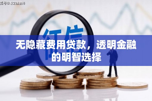 鱼池无隐藏费用贷款，透明金融的明智选择