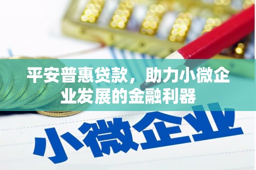 鱼池平安普惠贷款，助力小微企业发展的金融利器