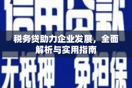 鱼池税务贷助力企业发展，全面解析与实用指南