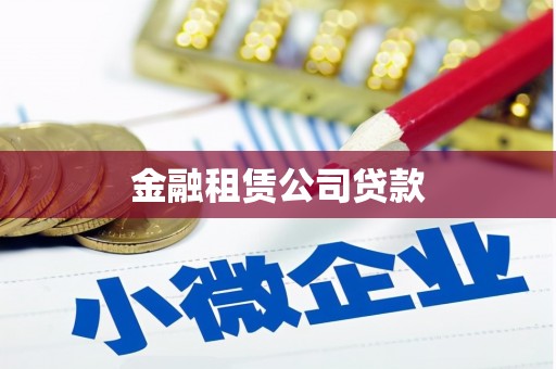 鱼池金融租赁公司贷款