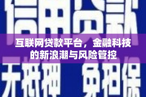 鱼池互联网贷款平台，金融科技的新浪潮与风险管控