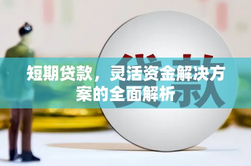 鱼池短期贷款，灵活资金解决方案的全面解析