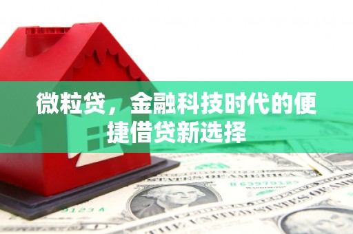 鱼池微粒贷，金融科技时代的便捷借贷新选择