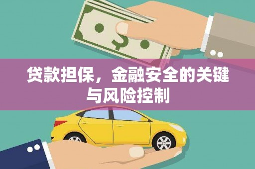 鱼池贷款担保，金融安全的关键与风险控制
