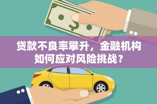 鱼池贷款不良率攀升，金融机构如何应对风险挑战？