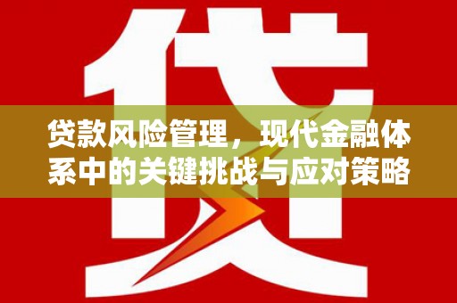 鱼池贷款风险管理，现代金融体系中的关键挑战与应对策略