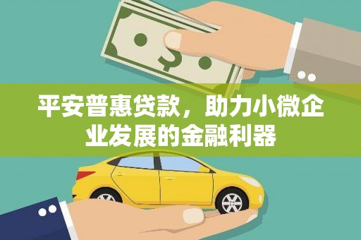 鱼池平安普惠贷款，助力小微企业发展的金融利器