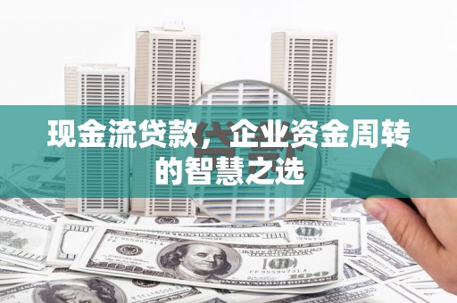 鱼池现金流贷款，企业资金周转的智慧之选