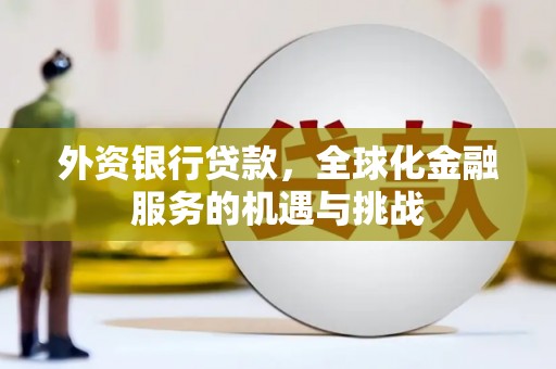 鱼池外资银行贷款，全球化金融服务的机遇与挑战