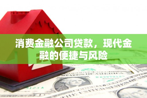 鱼池消费金融公司贷款，现代金融的便捷与风险