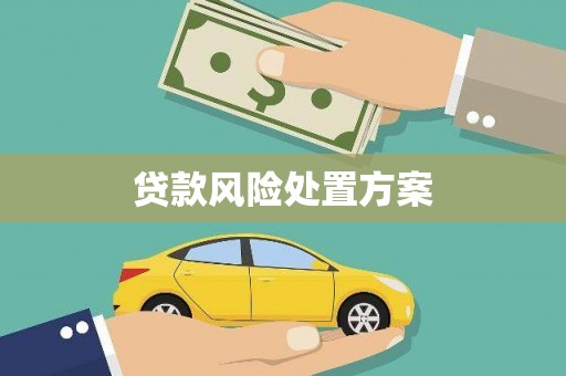 鱼池贷款风险处置方案
