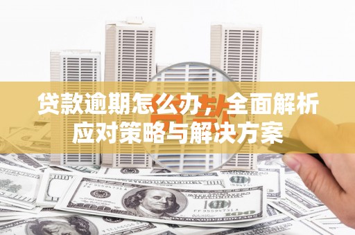 鱼池贷款逾期怎么办，全面解析应对策略与解决方案