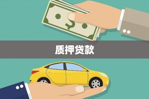 鱼池质押贷款