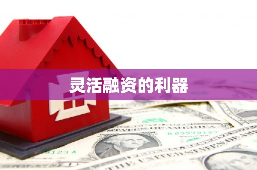 鱼池灵活融资的利器