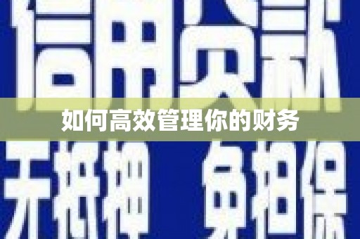 鱼池如何高效管理你的财务