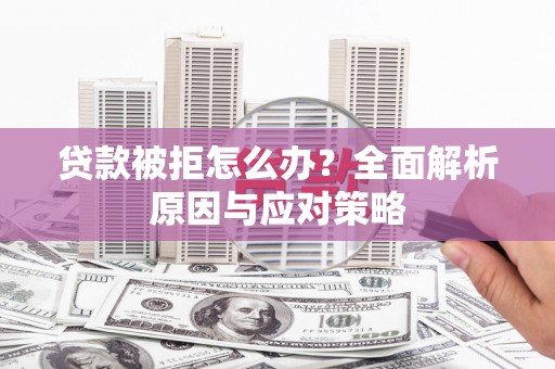 鱼池贷款被拒怎么办？全面解析原因与应对策略