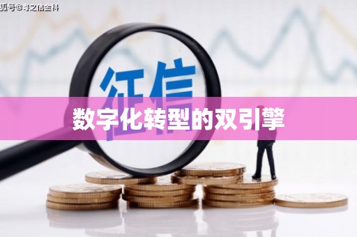 鱼池数字化转型的双引擎