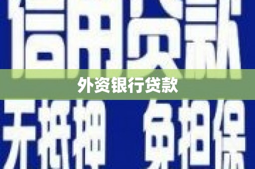 鱼池外资银行贷款