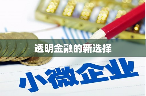 鱼池透明金融的新选择
