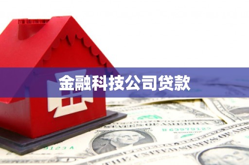 鱼池金融科技公司贷款