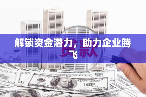 鱼池解锁资金潜力，助力企业腾飞