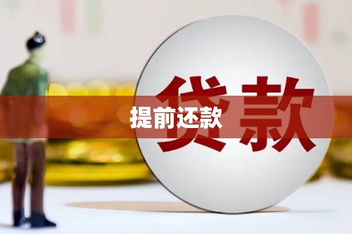 鱼池提前还款