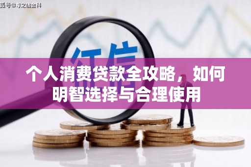 鱼池个人消费贷款全攻略，如何明智选择与合理使用