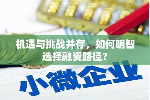 鱼池机遇与挑战并存，如何明智选择融资路径？