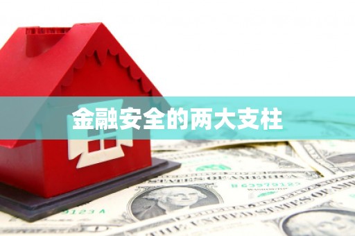 鱼池金融安全的两大支柱