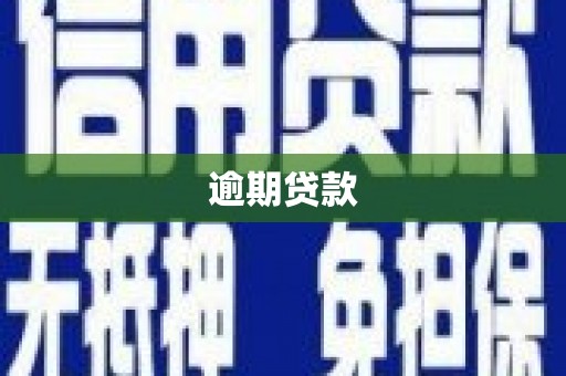 鱼池逾期贷款