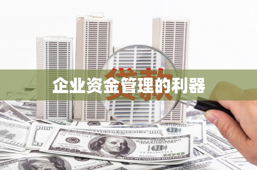 鱼池企业资金管理的利器
