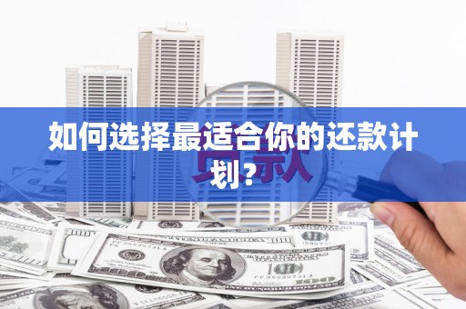 鱼池如何选择最适合你的还款计划？