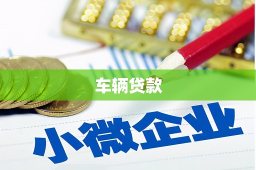 鱼池车辆贷款