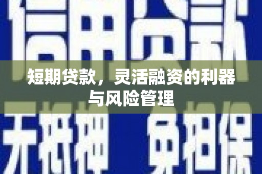 鱼池短期贷款，灵活融资的利器与风险管理