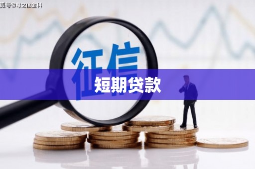 鱼池短期贷款
