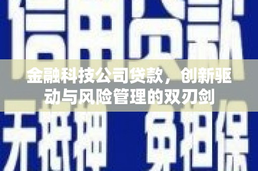 鱼池金融科技公司贷款，创新驱动与风险管理的双刃剑