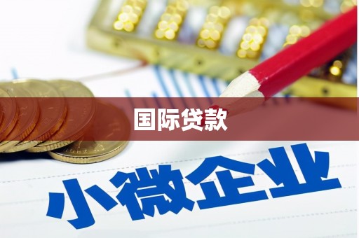鱼池国际贷款